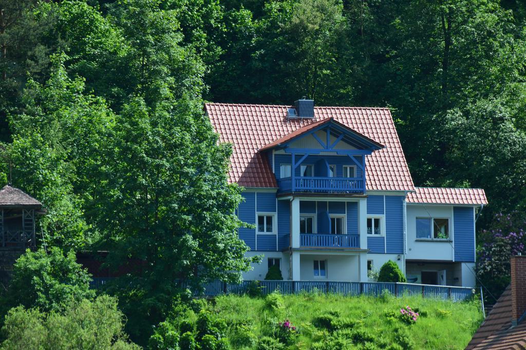 Haus Abendsonne Daire Stadt Wehlen Dış mekan fotoğraf